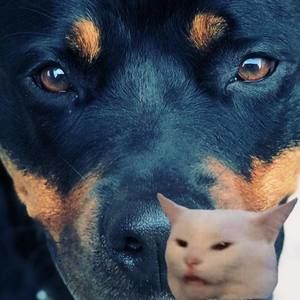 Meet your Posher, Suzanne